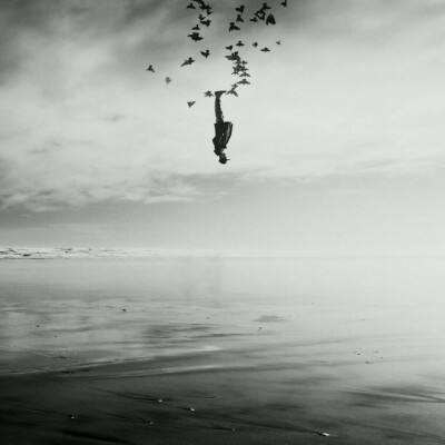 电玩舞会森林app下载