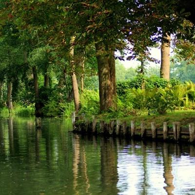 安博体育·(中国)官方网站