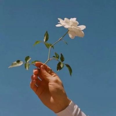 im电竞官方网站入口·官方网站