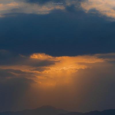 1788网投下载手机版