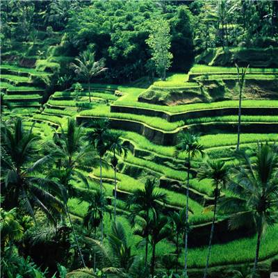 大众彩票入口welcome