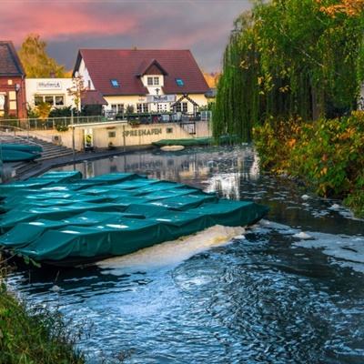 半岛官方APP入口