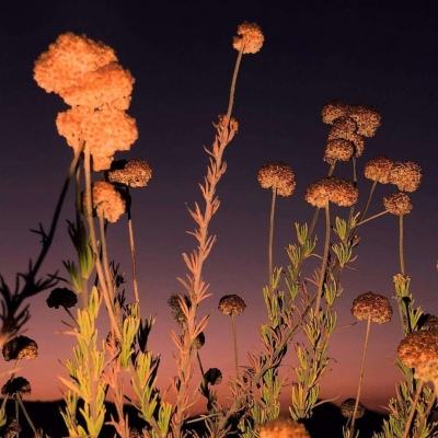 半岛全站app下载